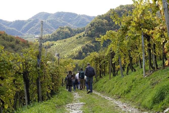 E-Bike Tour in Valdobbiadene With Wine Tasting and Typical Food - Discovering Typical Italian Cuisine