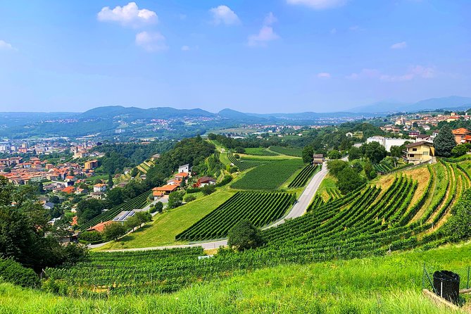 E-Bike Tour Lake Como and Swiss Vineyards - Highlights