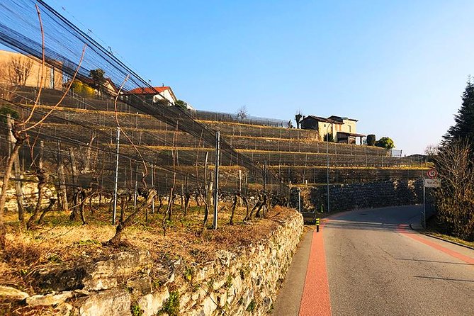 E-Bike Tour Lake Como and Swiss Vineyards - Meeting Point