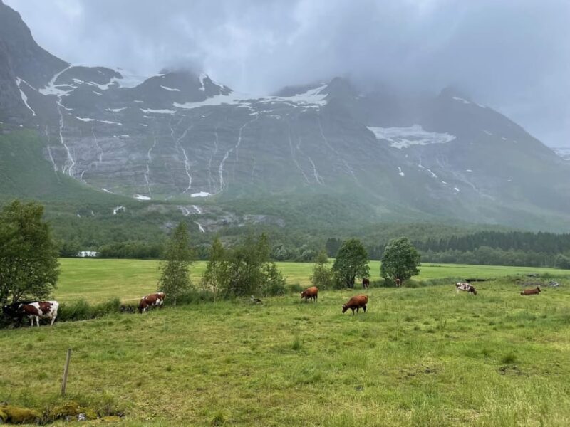 E-Bike Tour of Hellesylt to Norangsdalen - E-Bike Features and Accessibility