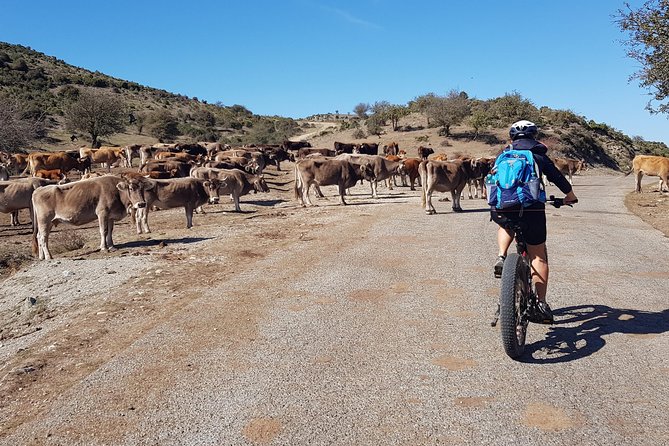 E-bike Tour on Gennargentu, Upper Flumendosa Lake, Preda Liana - Visiting Upper Flumendosa Lake and Preda Liana