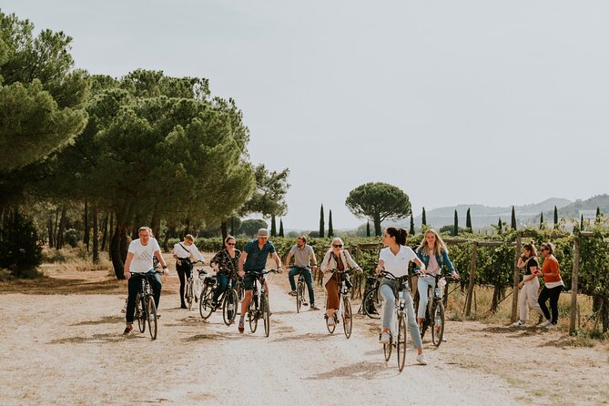E-Bike Tour & Picnic in an Exclusive Winery Estate in Valladolid - Tour Overview