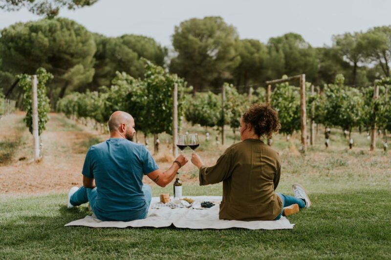 E-Bike Tour & Picnic in an Exclusive Winery Estate - Itinerary Details