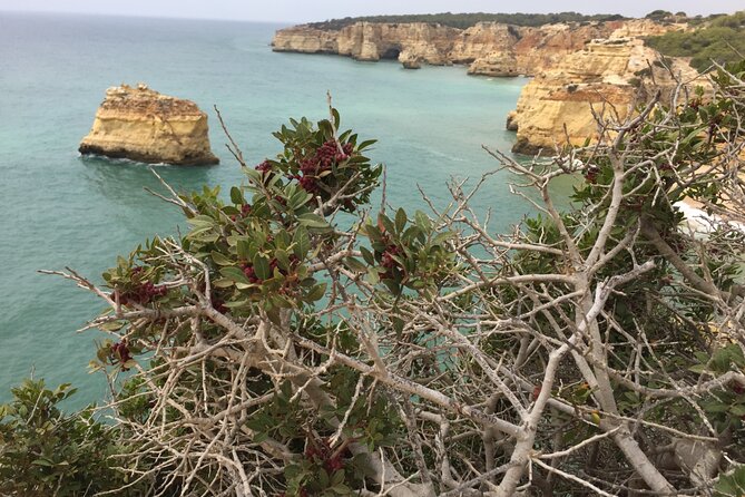E-Bike Tour: Sete Vales Suspensos Trail (Marinha and Benagil) - Exploring the Sete Vales Suspensos Trail