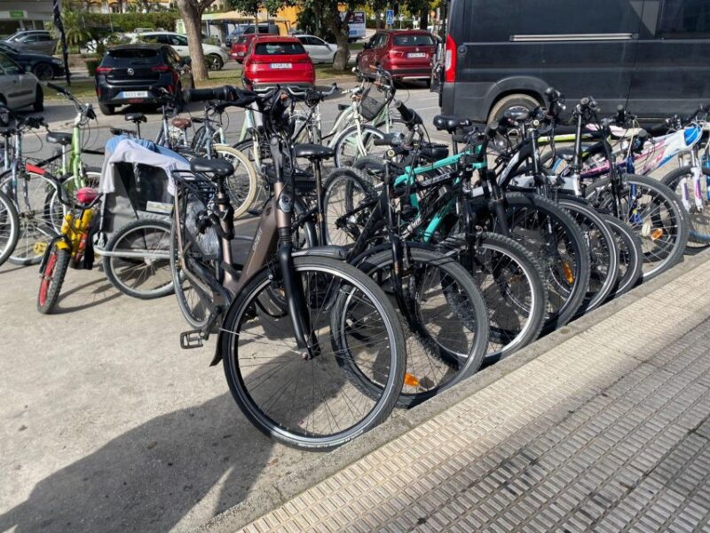 E-Bike Tour Through Marbella/Puerto Banús and San Pedro - Highlights