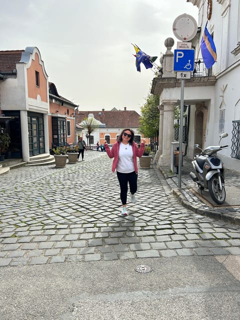 E-Bike Tour to Szentedre - Recap