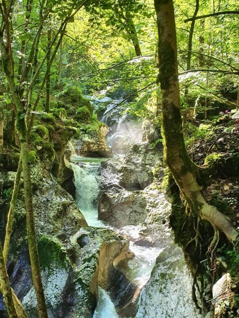 E-Bike Tour to the Great Soča Gorge & Šunik Water Grove - Majestic Views of Great Soča Gorge