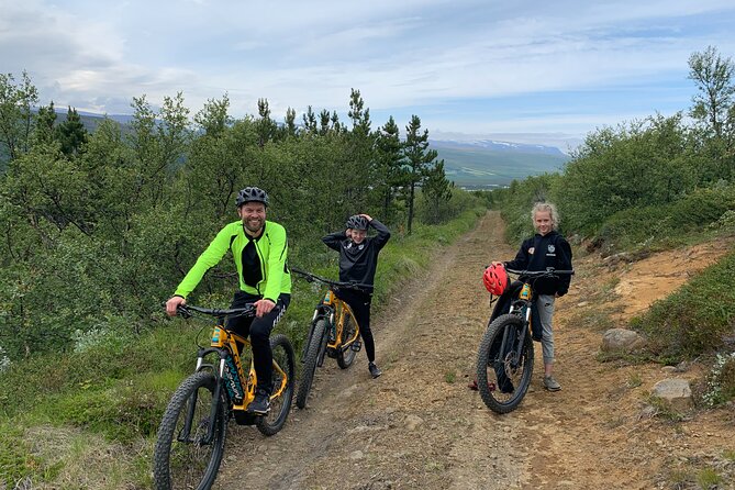 E-bike Tour Ullarfoss - Scenic Views and Waterfall