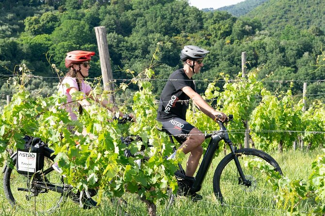 E-Bike Tour With Tasting in the Hills of Lucca - Quick Points