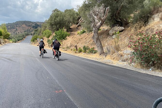 E-Bike Tour With Wine Tasting in Dafnes, Heraklion - Rating and Reviews