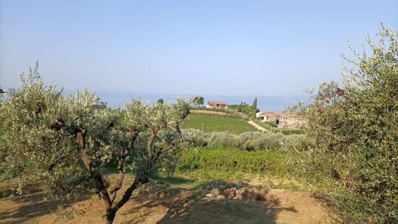 E-Bike Tour With Wine Tasting in the Bardolino Area - Inclusions and Options