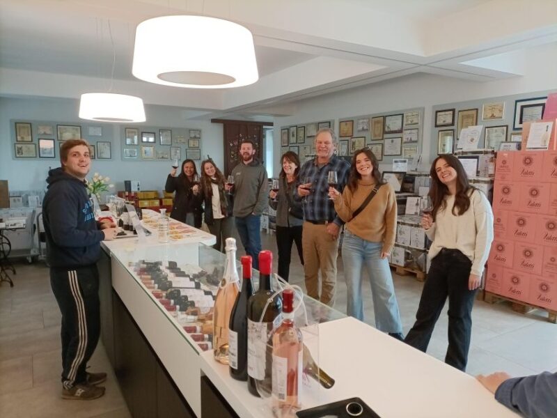 E-Bike Tour With Wine Tasting in the Bardolino Area - Important Information