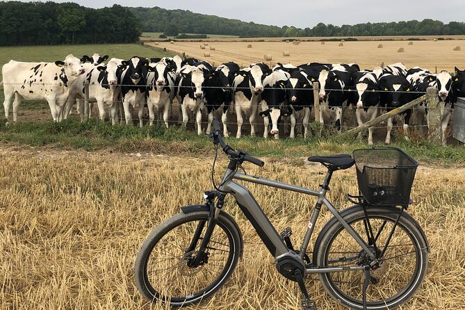 E.Bike Tours Around Heidelberg - Frequently Asked Questions