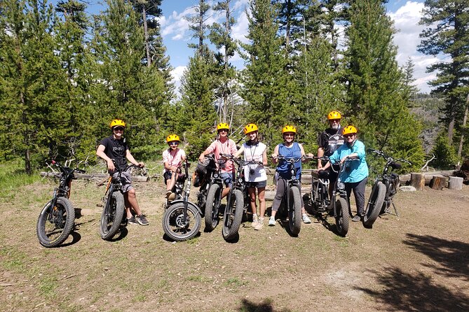 E-Bike Tours in Yellowstone National Park - Included in the Tour