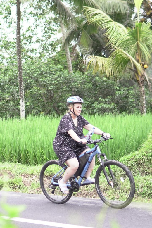 E-Bike: Ubud Rice Terrace & Visit Local Temple Cycling Tour - Key Points