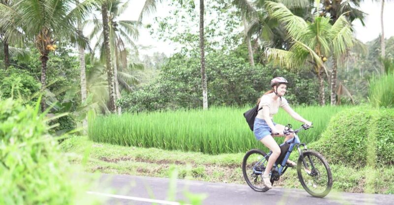 E-Bike: Ubud Rice Terrace & Visit Local Temple Cycling Tour - Eco-Friendly E-Bikes