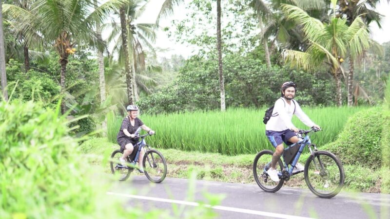 E-Bike: Ubud Rice Terrace & Visit Local Temple Cycling Tour - Scenic Routes