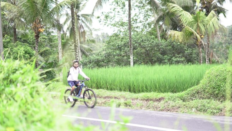 E-Bike: Ubud Rice Terrace & Visit Local Temple Cycling Tour - Cultural Insights