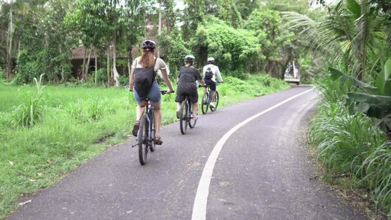 E-Bike: Ubud Rice Terrace & Visit Local Temple Cycling Tour - Local Interaction