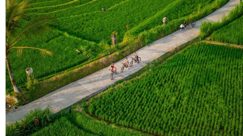 E-Bike: Ubud Rice Terraces & Traditional Villages Cycling - Included Equipment and Requirements