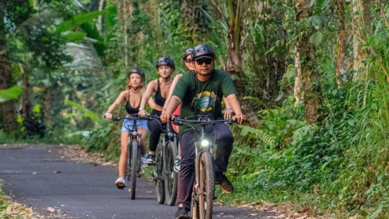 E-Bike: Ubud Rice Terraces & Traditional Villages Cycling - Customer Feedback and Ratings