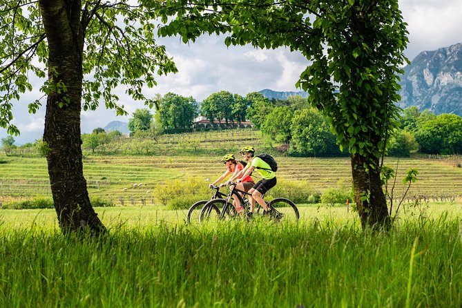E-bike Vipava River Tour - Meeting and Pickup