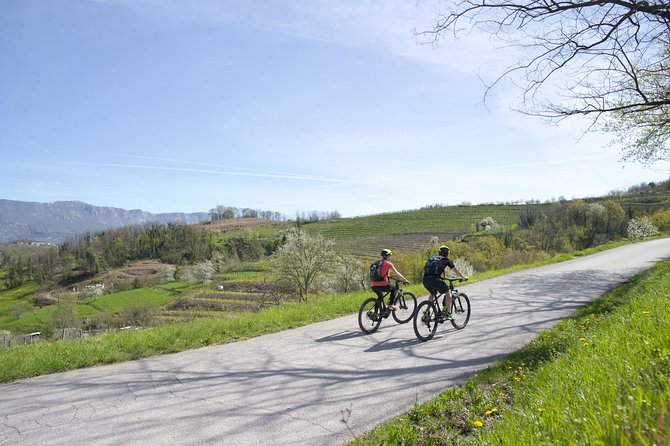E-bike Vipava River Tour - Unique Experiences