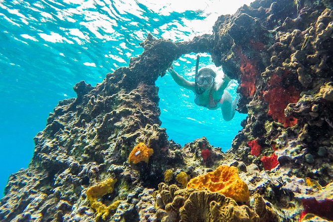 E-bike West Coast Snorkeling Tour - Meeting and Pickup Information