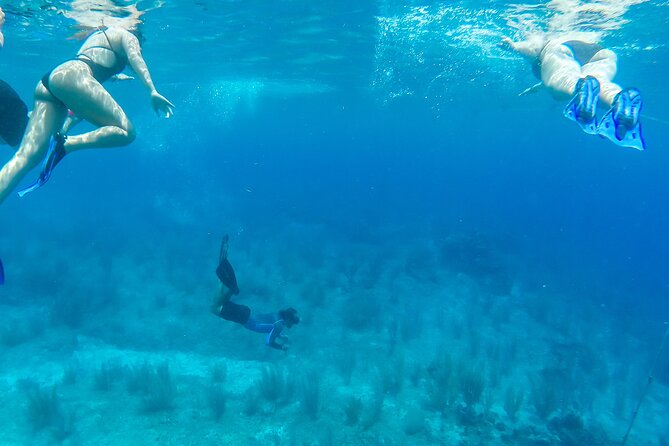 E-bike West Coast Snorkeling Tour - Customer Feedback