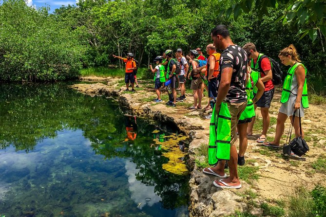 E-bike West Coast Snorkeling Tour - Tour Highlights and Considerations