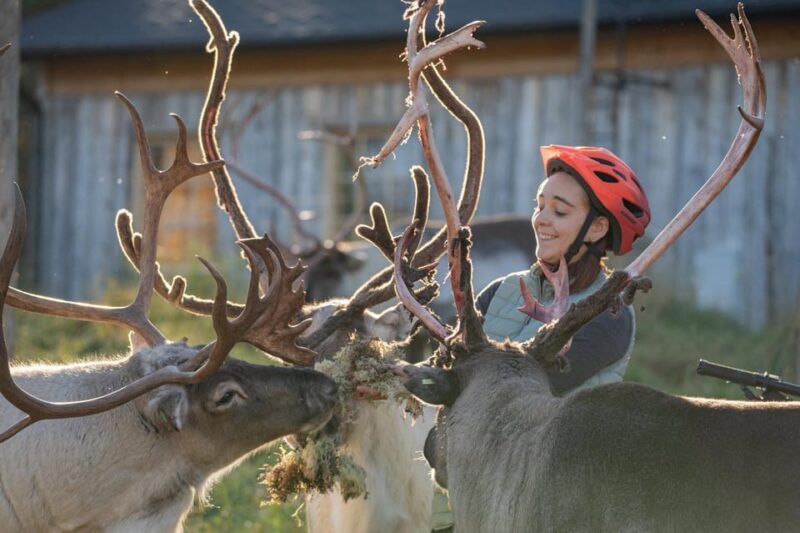 E-FATBIKE TRIP TO THE REINDEER FARM - Reindeer Farm Visit