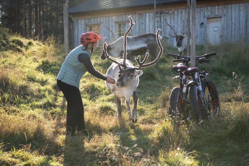 E-FATBIKE TRIP TO THE REINDEER FARM - Inclusions