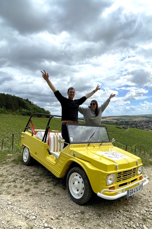 E-Mehari Tour and Tasting Chablis Clotilde Davenne - Saint-Bris and Côtes Dauxerre Tasting