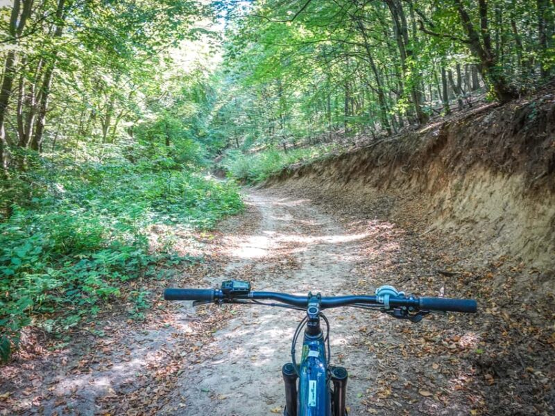 E-Mountain Bike Adventure in the Danube Bend - Customer Reviews and Feedback