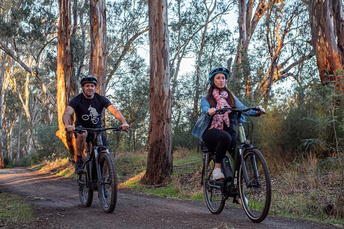 E-Mountain Bike Hire Echuca Moama - Full Day - Key Points