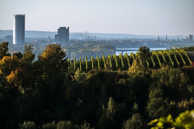 E-Scavenger Hunt Bonn: Explore the City at Your Own Pace - Accessibility and Participant Suitability