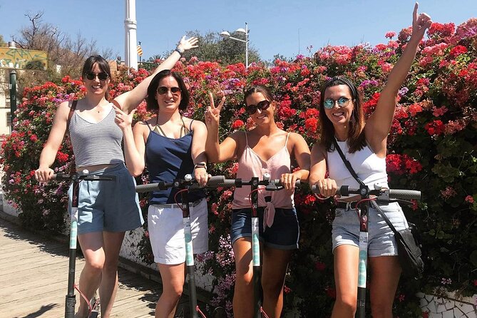 E-scooter City of Arts and Sciences Private Tour - Pricing and Reviews