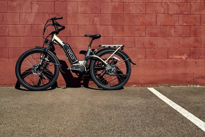 E-Scooter - E-Bike - Quadracycle - Bikes - Kick Scooter - Provided Gear and Navigation