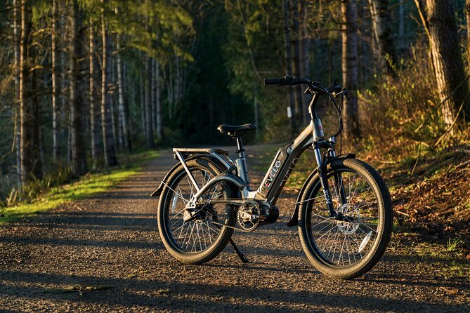 E-Scooter - E-Bike - Quadracycle - Bikes - Kick Scooter - Suitable Travelers and Conditions