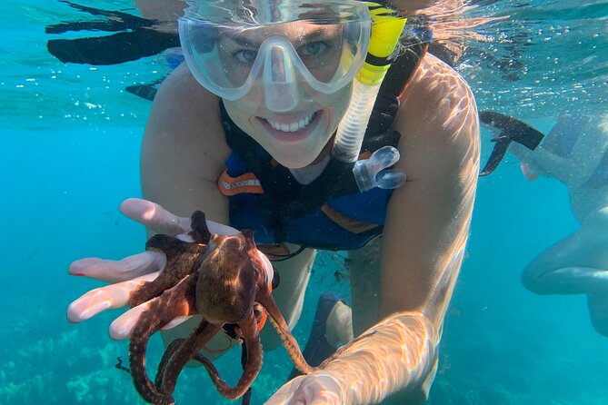 E-Scooter Snorkel With Photo and Video At Turtle Town - Effortless Underwater Exploration With E-Scooters