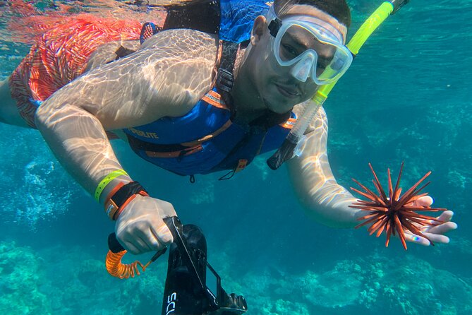 E-Scooter Snorkel With Photo and Video At Turtle Town - Private Transportation and Complimentary Equipment