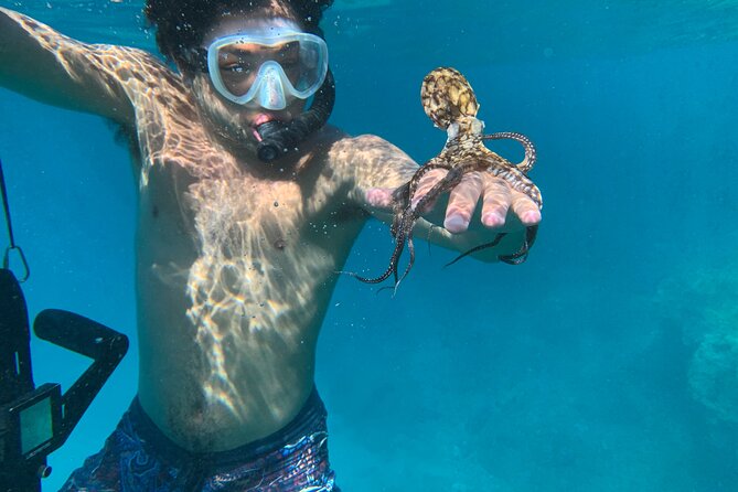 E-Scooter Snorkel With Photo and Video At Turtle Town - Tour Details and Meeting Point