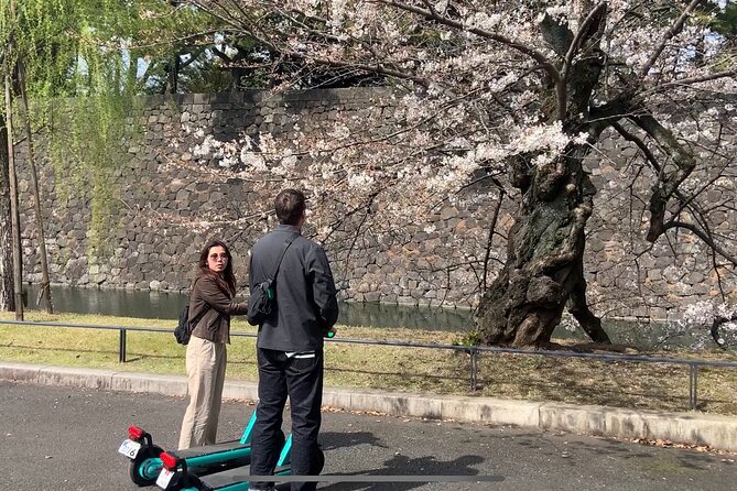 E-Scooter Tour With a Private Guide Tokyo - Meeting and End Points