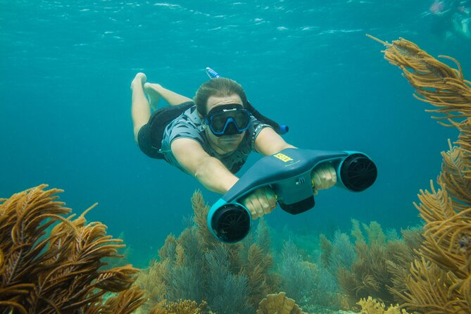 E-Snorkeling Tour in Bonaire With Easy Sea Scooters - Health and Safety