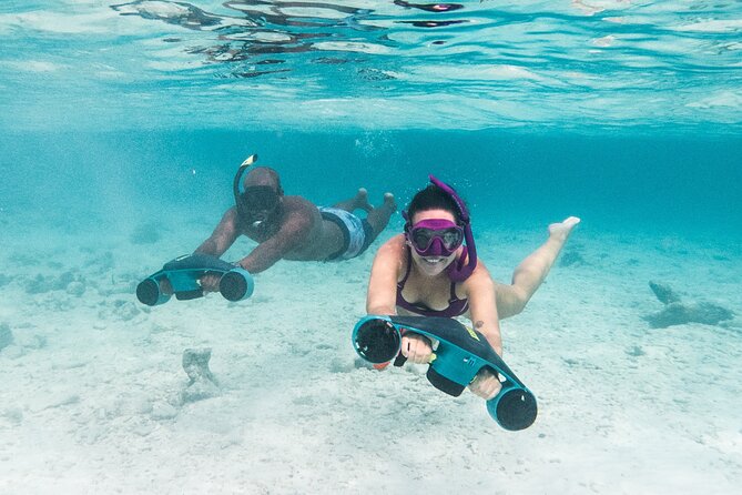 E-Snorkeling Tour in Bonaire With Easy Sea Scooters - Booking and Availability