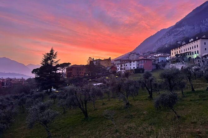 E.V.O. Oil of Lake Como Tasting+ Food Pairings - Tasting and Pairing Details