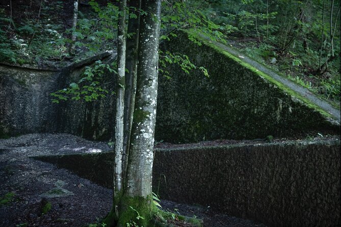 Eagles Nest-Berchtesgaden-Obersalzberg Private Half Day WWII Historical Tour - Pricing and Inclusions