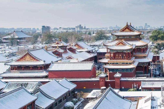 Early Bird Beijing Dim Sum Breakfast With Lama Temple Tour - Customer Feedback Highlights