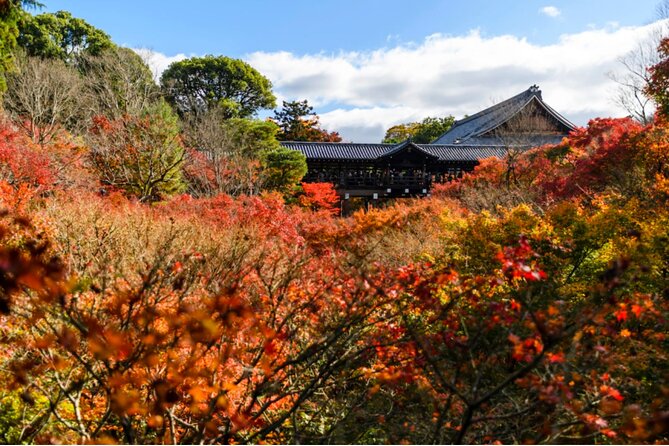 Early Bird E-Biking Through East Kyoto - Activity Start Time and Details