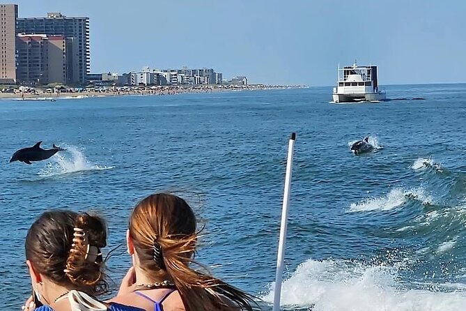 EARLY BIRD: Speed Boat & Dolphin Cruise in Ocean City, MD - Tips for Enjoying the Dolphin Sightings